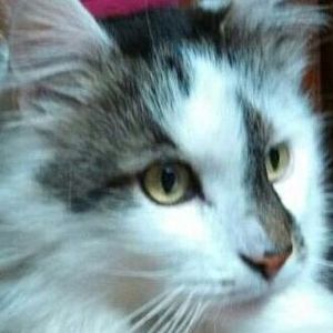 Meet your Posher, Patricia